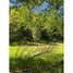  Land for sale in Cautin Araucania, Curarrehue, Cautin, Araucania, Chile