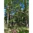  Land for sale in Cautin Araucania, Curarrehue, Cautin, Araucania, Chile