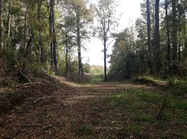  Terreno (Parcela) en venta en Universidad de la Frontera Campus Pucón, Pucón, Pucón