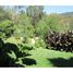 6 Habitación Casa en venta en Maule, Vichuquen, Curicó, Maule