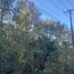  Land for sale in Chile, Pucon, Cautin, Araucania, Chile