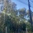 Land for sale in Chile, Pucon, Cautin, Araucania, Chile