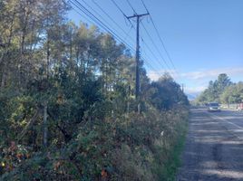  Land for sale in Chile, Pucon, Cautin, Araucania, Chile