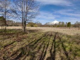  Terreno (Parcela) en venta en Chile, Villarrica, Cautín, Araucanía, Chile