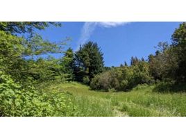  Terreno (Parcela) en venta en Chile, Pucón, Cautín, Araucanía, Chile