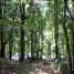  Land for sale in Ojos del Caburga, Cautin, Pucon, Cautin