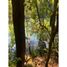  Land for sale in Ojos del Caburga, Cautin, Pucon, Cautin
