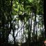  Land for sale in Ojos del Caburga, Cautin, Pucon, Cautin