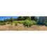  Terreno (Parcela) en venta en Araucanía, Curarrehue, Cautín, Araucanía