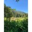  Terreno (Parcela) en venta en Araucanía, Curarrehue, Cautín, Araucanía