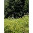  Terreno (Parcela) en venta en Araucanía, Curarrehue, Cautín, Araucanía
