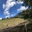 Terrain à vendre à El Carmen De Viboral, Antioquia, El Carmen De Viboral