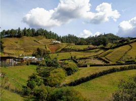  Grundstück zu verkaufen in La Ceja, Antioquia, La Ceja, Antioquia