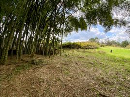  Terreno (Parcela) en venta en La Ceja, Antioquia, La Ceja