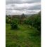  Land for sale in Rionegro, Antioquia, Rionegro