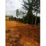  Land for sale in Rionegro, Antioquia, Rionegro