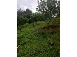  Land for sale in Rionegro, Antioquia, Rionegro