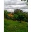  Land for sale in Rionegro, Antioquia, Rionegro