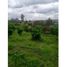  Land for sale in Rionegro, Antioquia, Rionegro