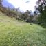  Land for sale in La Ceja, Antioquia, La Ceja