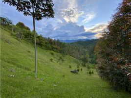  Terreno (Parcela) en venta en La Ceja, Antioquia, La Ceja