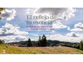  Land for sale in Rionegro, Antioquia, Rionegro