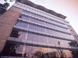 486 m² Office for rent in Mexiko, Miguel Hidalgo, Mexico City, Mexiko