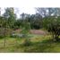  Grundstück zu verkaufen in Rionegro, Antioquia, Rionegro, Antioquia