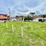  Land for sale in Cartago, Valle Del Cauca, Cartago