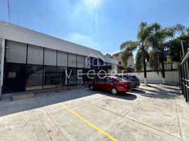 363 m² Office for rent in Guadalajara, Jalisco, Guadalajara