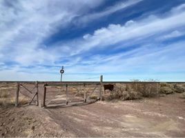  Terreno (Parcela) en venta en Rio Negro, Nueve De Julio, Rio Negro