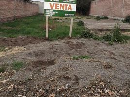  Terreno (Parcela) en venta en General Roca, Rio Negro, General Roca