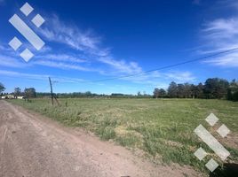  Land for sale in Rio Negro, General Roca, Rio Negro