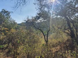  Land for sale in Colon, Cordoba, Colon