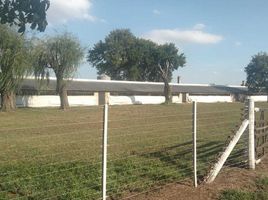  Land for sale in Chacabuco, Buenos Aires, Chacabuco