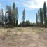  Terreno (Parcela) en venta en Confluencia, Neuquen, Confluencia