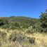  Land for sale in Neuquen, Lacar, Neuquen