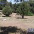  Terreno (Parcela) en venta en Punilla, Cordobá, Punilla