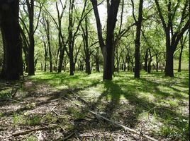  Terreno (Parcela) en venta en Colon, Cordobá, Colon