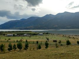  Land for sale in Lago Argentino, Santa Cruz, Lago Argentino, Santa Cruz