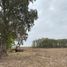  Land for sale in Castellanos, Santa Fe, Castellanos