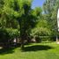 3 Schlafzimmer Haus zu verkaufen in San Rafael, Mendoza, San Rafael