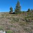  Land for sale in Rio Negro, Bariloche, Rio Negro