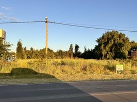  Land for sale in Colon, Entre Rios, Colon