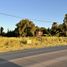  Land for sale in Colon, Entre Rios, Colon