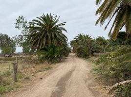  Land for sale in Castellanos, Santa Fe, Castellanos