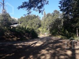  Land for sale in Neuquen, Los Lagos, Neuquen