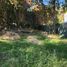  Land for sale in Chapala, Jalisco, Chapala