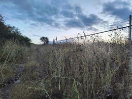  Terreno (Parcela) en venta en El Marques, Querétaro, El Marques, Querétaro