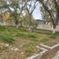  Land for sale in Parras, Coahuila, Parras